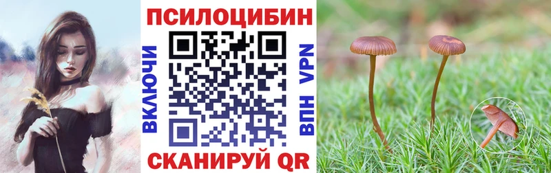 Галлюциногенные грибы мухоморы  mega зеркало  Хилок 
