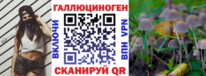 Псилоцибиновые грибы Psilocybe Хилок